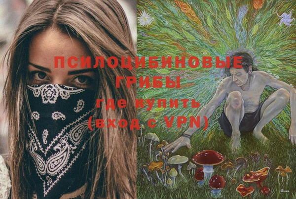 мескалин Бронницы