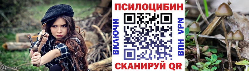 Галлюциногенные грибы мухоморы  даркнет сайт  Вичуга 