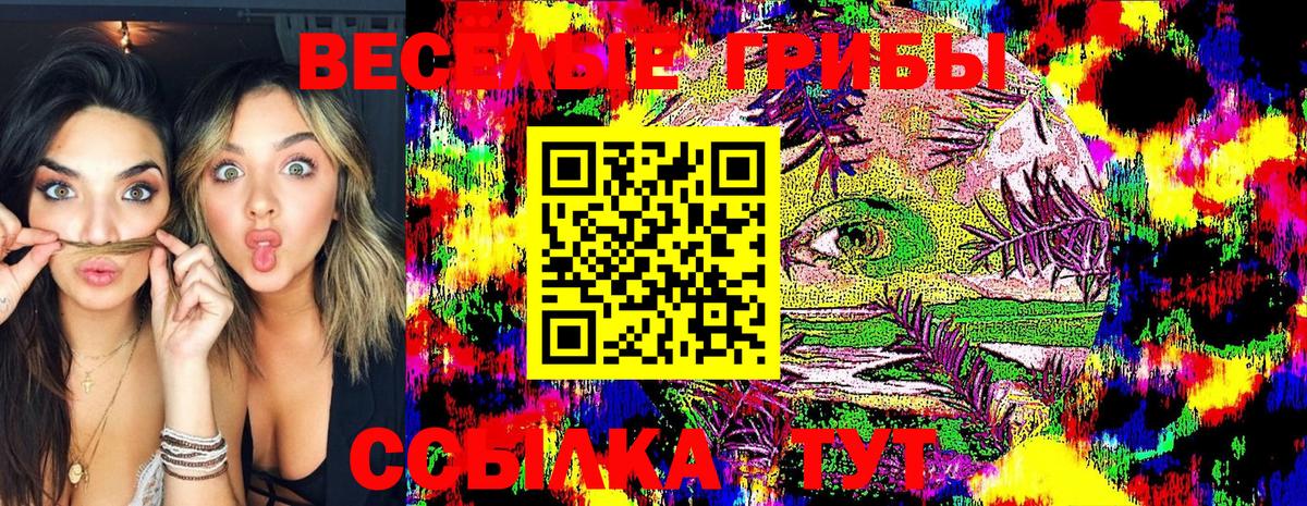 Псилоцибиновые грибы Psilocybe Вичуга