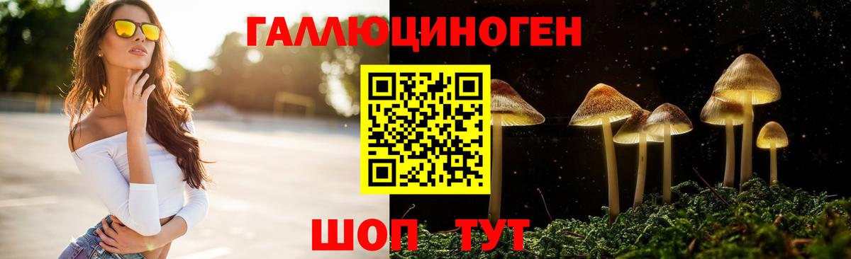 Галлюциногенные грибы Psilocybe  Галлюциногенные грибы GOLDEN TEACHER  Вичуга 